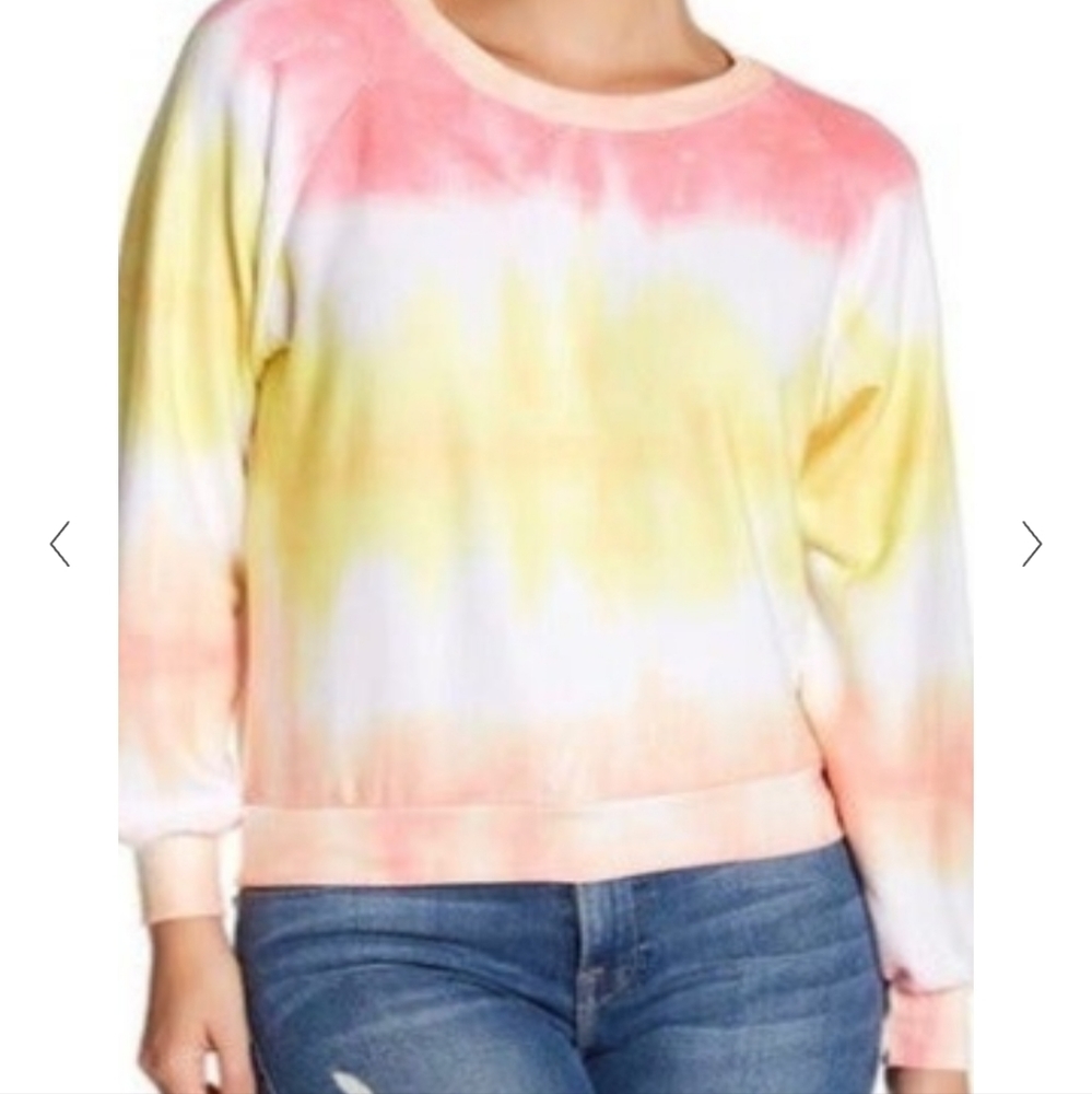 Wildfox sorbet sweatshirt